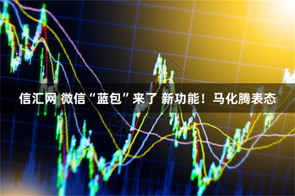 信汇网 微信“蓝包”来了 新功能！马化腾表态