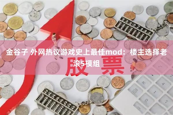 金谷子 外网热议游戏史上最佳mod：楼主选择老滚5模组